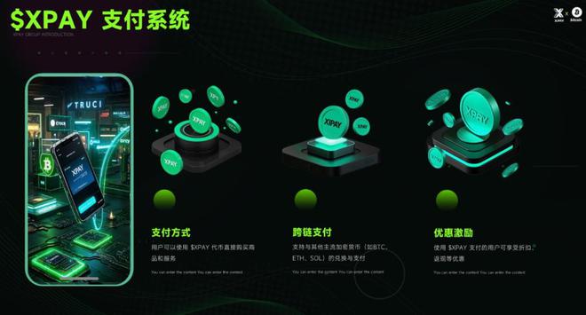 城功能丰富满足用户多元化消费需求冰球突破豪华版appXPAY商(图3)
