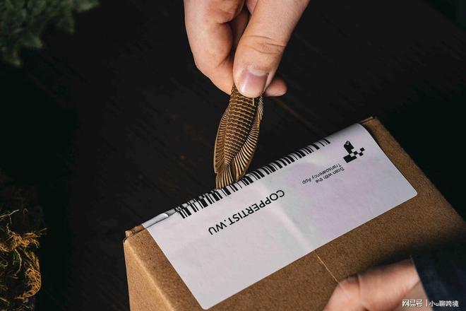 情趣用品独立站给你更大的自由空间冰球突破正规网站平台管控太严？(图2)